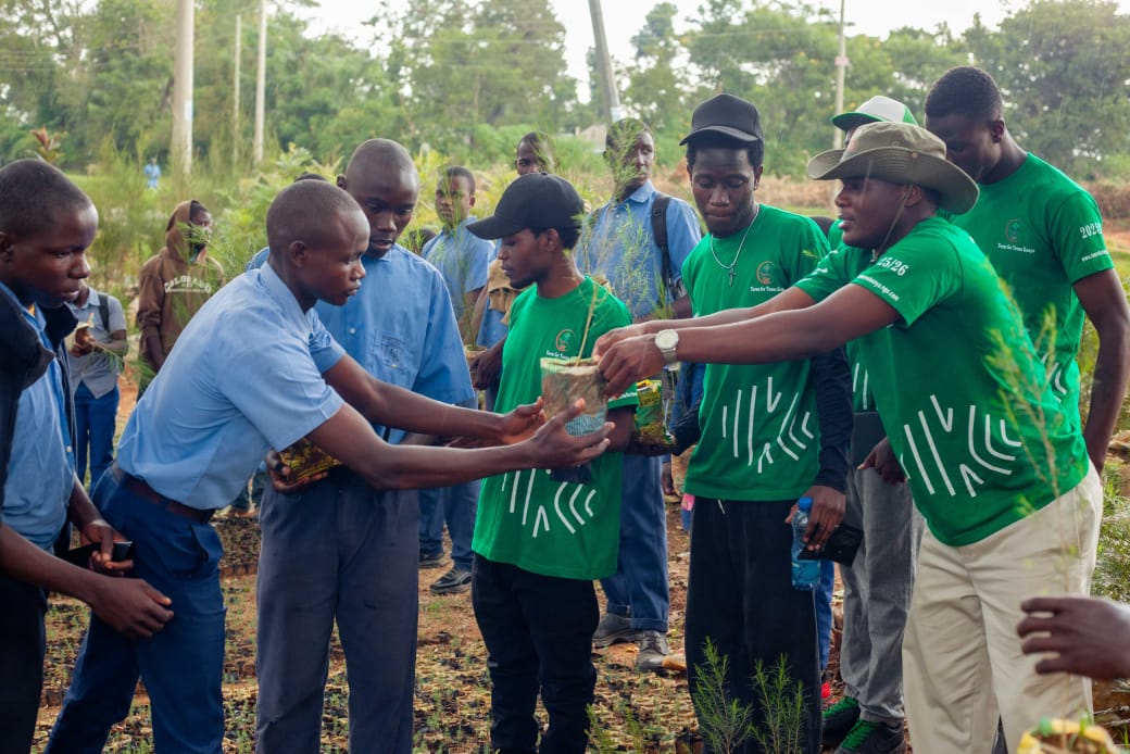 Seedlings distribution