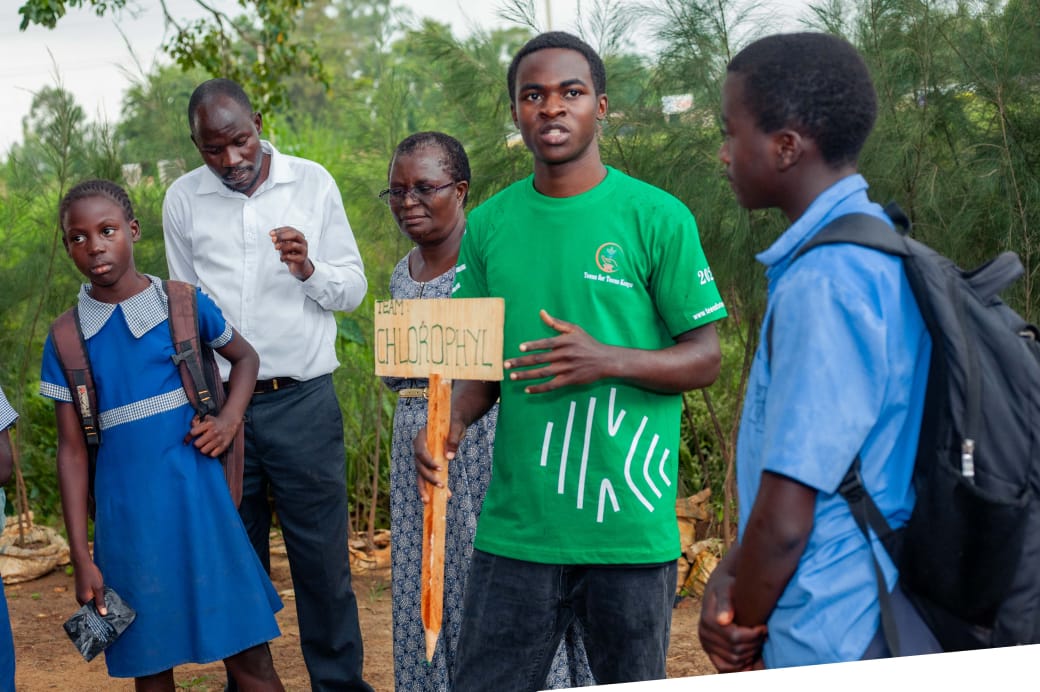 Distributing tree seedlings to community